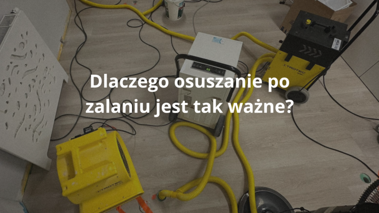 Dlaczego osuszanie po zalaniu jest tak ważne