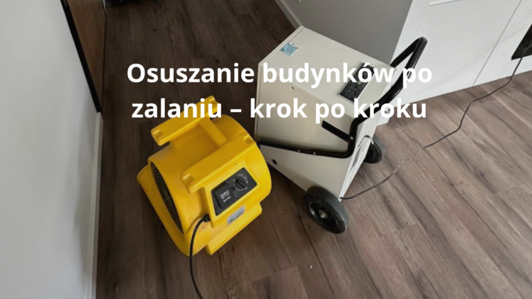 Osuszanie krok po kroku